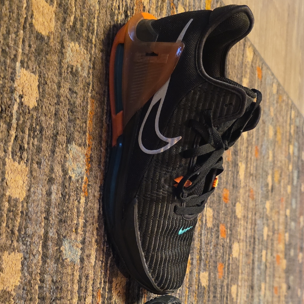 Mens Nike (Lebrons)